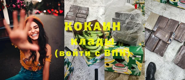 ПСИЛОЦИБИНОВЫЕ ГРИБЫ Алзамай