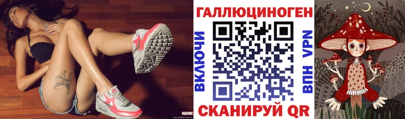 купить   Тверь  mega   Галлюциногенные грибы Psilocybine cubensis 